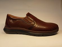 SALAMANDER (т. муж, корич, отв. лето)