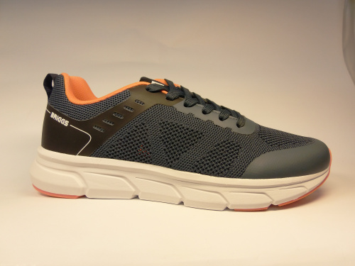 BRIGGS ( п/бот. муж. син,шн. спорт.т,лето)