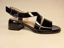 SALAMANDER (т.жен. черн. лак откр. лето)