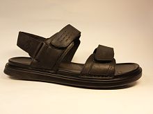 SALAMANDER (санд. муж, черн, лето)