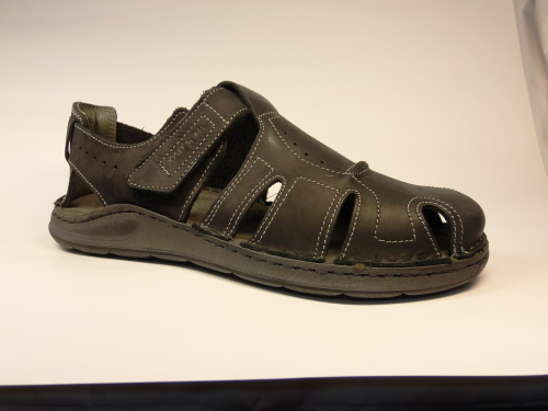 Josef Seibel (санд.муж. черн. на липе лето)